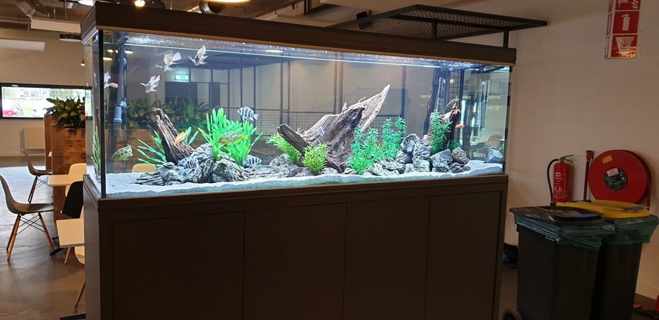 Aquarium