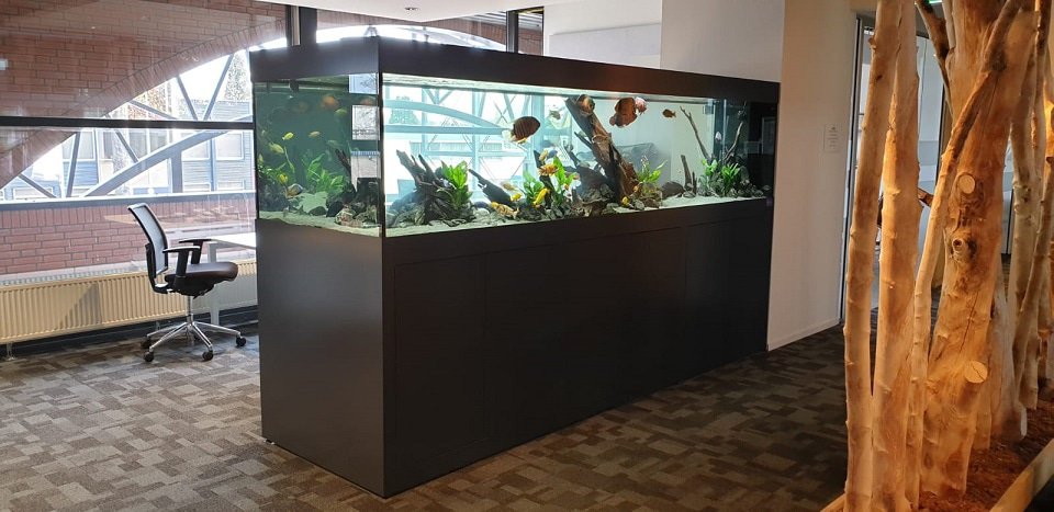 Kantoor aquarium